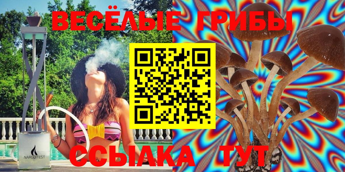 Псилоцибиновые грибы GOLDEN TEACHER  Псилоцибиновые грибы MAGIC MUSHROOMS  Усть-Лабинск  Вход с VPN 