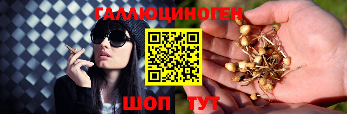 Галлюциногенные грибы прущие грибы Усть-Лабинск